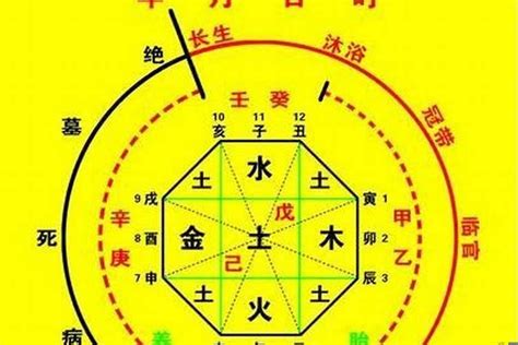 本命卦查询|生辰八字算命、五行喜用神查询（免费测算）